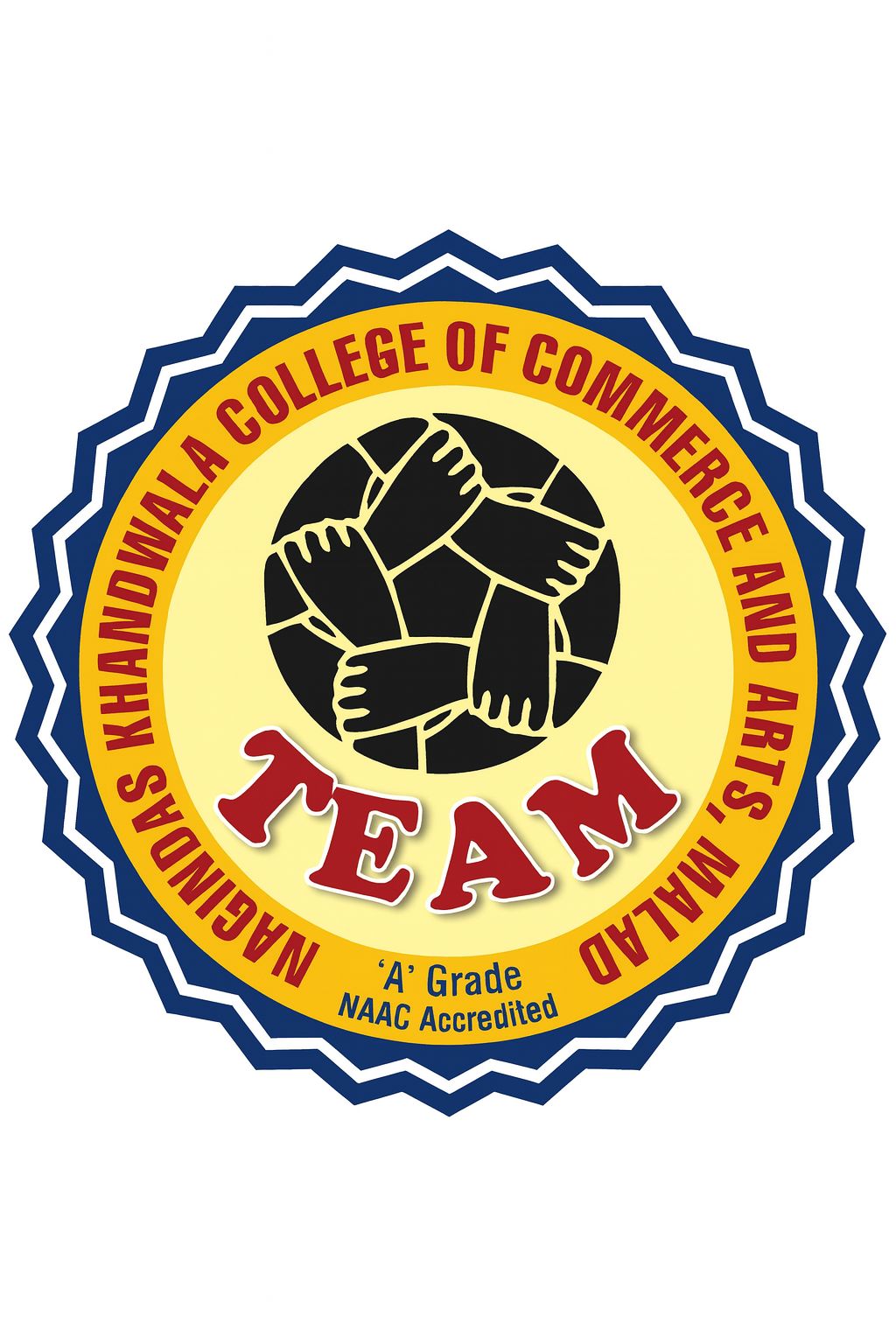 TEAM Logo